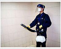 ���������x